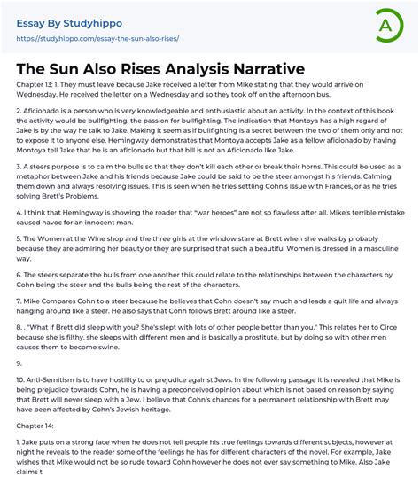 The Sun Also Rises Analysis Narrative Chapter Essay Example