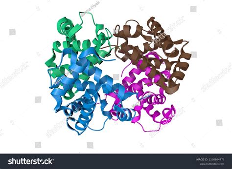 Protein Crystal Structure