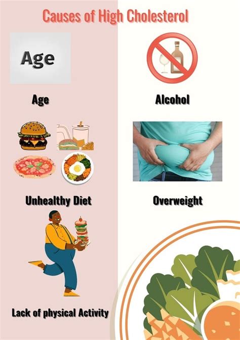 What Causes High Cholesterol The Word “high Cholesterol” Refers To A