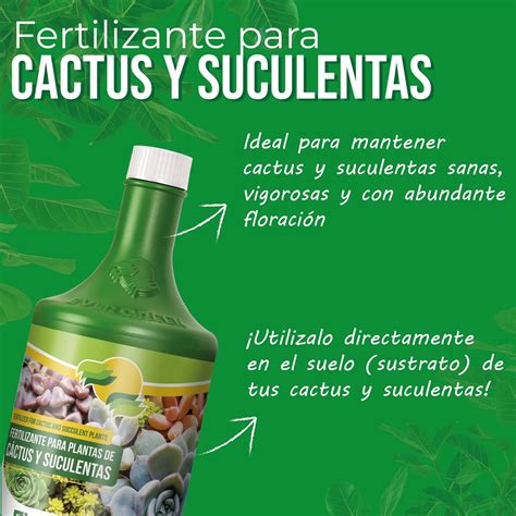 Fertilizante Evergreen Para Cactus Y Suculentas Ecofertil Honduras