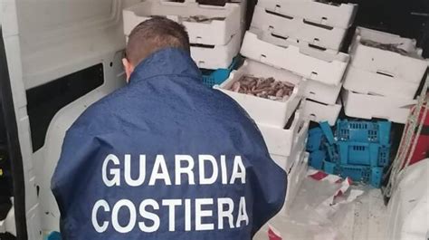 Vendono Pesce Non Tracciato Ad Anzio Maxi Sequestro Al Porto