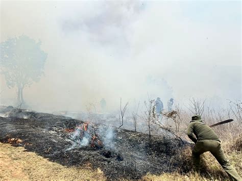 Activos Nueve Incendios Forestales En Veracruz Nv Noticias