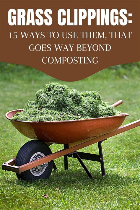 Grass Clippings Ways To Use Them That Goes Way Beyond Composting