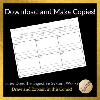 Digestive System Comic By Vivid Quill Resources Tpt