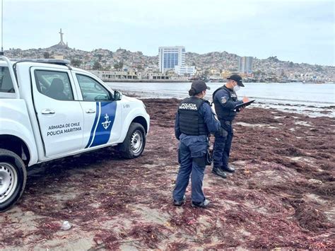 Confirman hallazgo de nuevos restos humanos en la región de Coquimbo