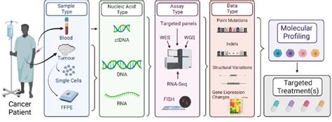 Molecular Profiling For Personalised Medicine An Idealized