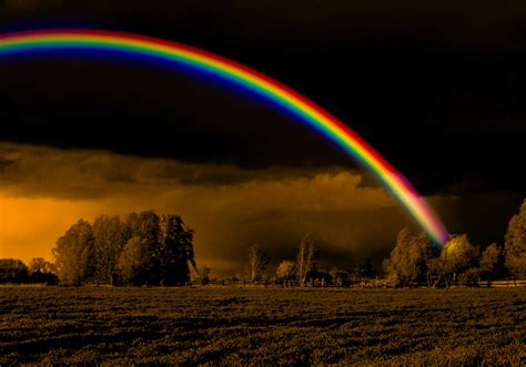 Colors of the rainbow - tewssnow