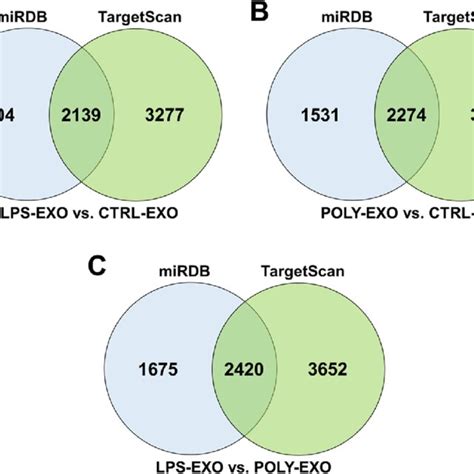 Venn Diagram Of Predicted Target Genes From Mirdb And Targetscan