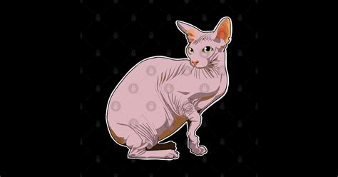 Naked Cat Sphynx Cat Sticker TeePublic