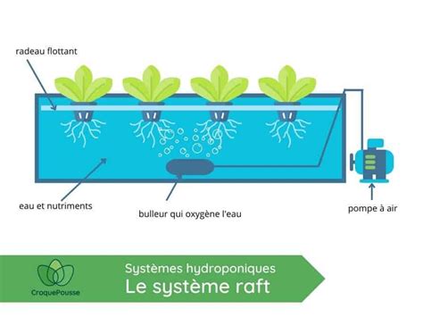 Hydroponie Diy Fabriquer Un Syst Me Raft La Maison Croquepousse