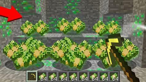 下載 Money Addon For Minecraft Pe Apk 安卓版 雷電模擬器