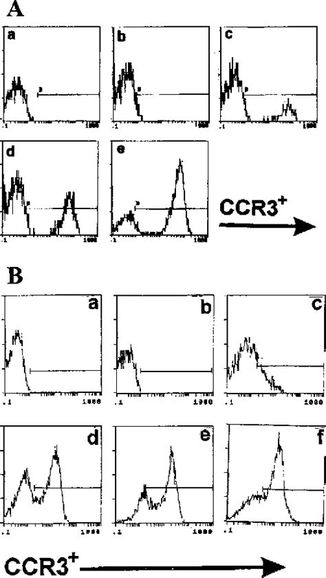 Figure 1 From Eotaxin Activates T Cells To Chemotaxis And Adhesion Only