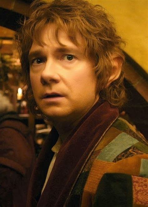 Bilbo Dressing Gownhouse Coat The Hobbit The Hobbit Movies Hobbit