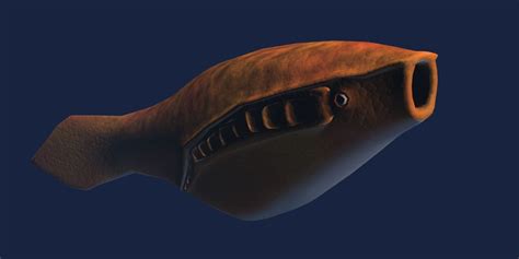 3D model Arandaspis orange fish VR / AR / low-poly | CGTrader