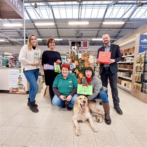 Tierheim Arche Wels Freut Sich Auf Den Advent Stadt Wels Verwaltung