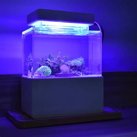 Biota Custom Micro Reef Ready Tank 40oz Desktop Aquarium Lupon Gov Ph