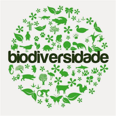 Pensar Eco é Lógico Lei Da Biodiversidade Pode Facilitar Pesquisas Em Conservação