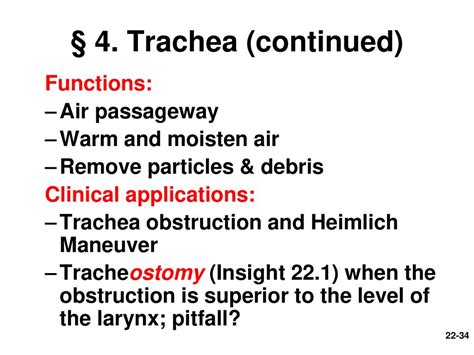 Chapter 22— The Respiratory System Ppt Download