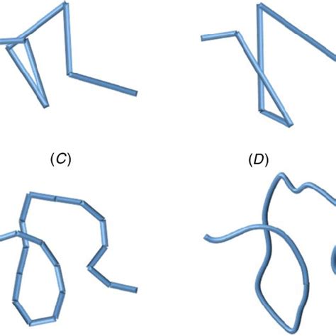 Filament Dynamics Models A The Rouse And Zimm Models Represent Download Scientific Diagram