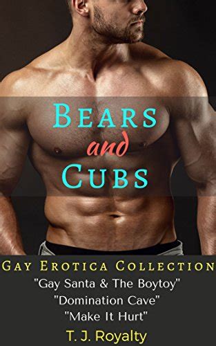 Bears And Cubs Gay Erotica Collection Gay Santa The Boytoy Domination Cave Make It
