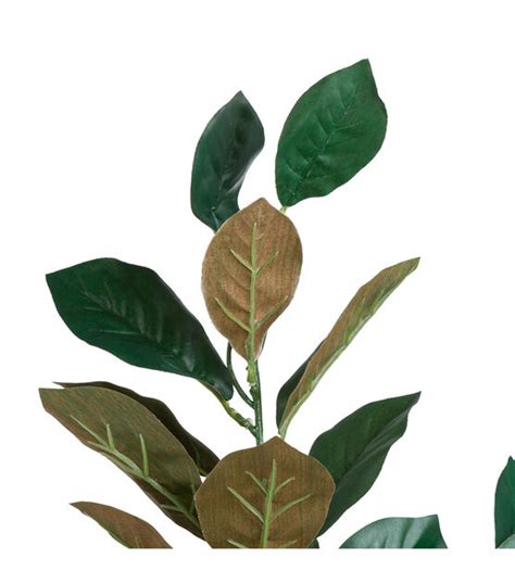 35 Green And Brown Magnolia Leaf Stem By Bloom Room Joann