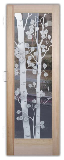 Interior Door, Birch, 2D Clear - Contemporary - Interior Doors - by ...