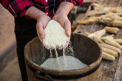 Sepp Brandstätter and his native Gailtal Valley white maize