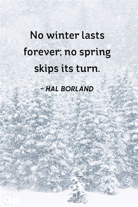 15 Best Winter Quotes Short Sayings And Quotes About Winter