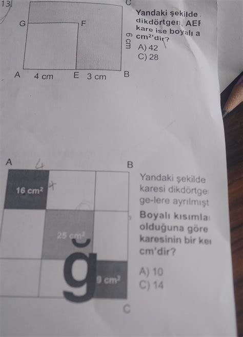 Arkadaslar Bu Iki Sorunun Cevabi Nedir Eodev