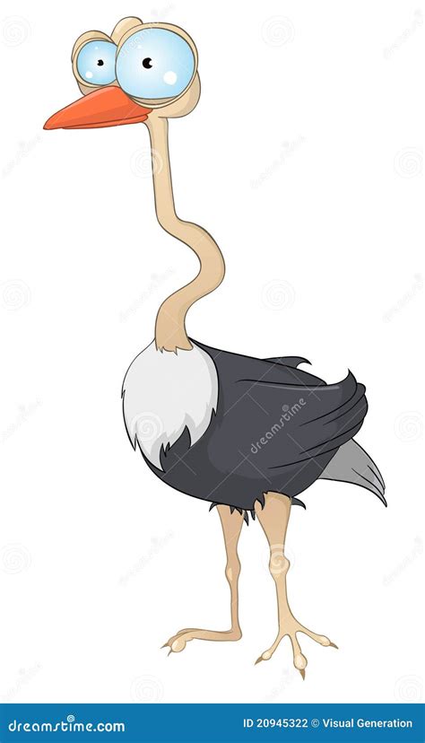 Cartoon Character Ostrich stock vector. Illustration of humour - 20945322