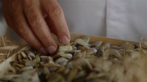 Relais Ch Teaux Una Oda Al Marisco De Concha En El World Oceans Day