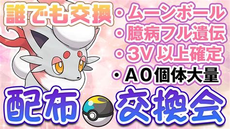 【ポケモンsv】3 A0当たるかも？ヒスイゾロア配布交換会＆色違い厳選！誰でも無償交換okです！概要欄見てね～！【ゆりふ】 Youtube