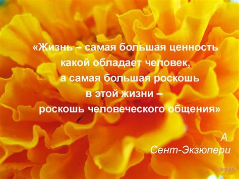 Этика делового общения - презентация онлайн