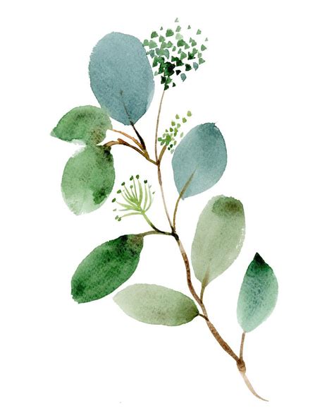 Eucalyptus Prints Set Of Watercolor Botanical Prints Plant