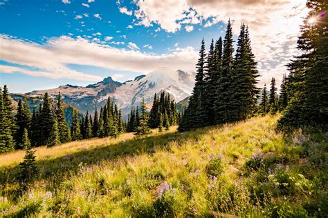 20 Best Mt Rainier National Park Hikes Ranked Photos Helpful Tips