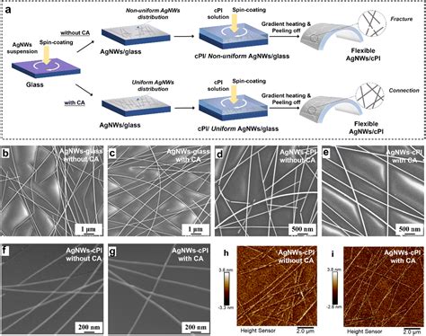 Citric Acid Modified Semi Embedded Silver Nanowires Colorless Polyimide