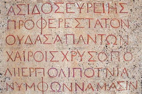 Il Nesso Relativo Pronome Relativo Pronome Morfologia Grammatica Latina La Sofisteria