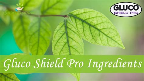 Gluco Shield Pro Review Gregory Johnson The Sneaky Truth