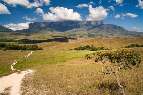 Tafelberge Roraima Und Kukenan La Gran Sabana Nationalpark Canaima