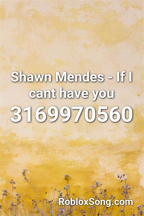 Shawn Mendes If I Cant Have You Roblox Id Roblox Music Codes