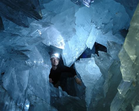 Cave of the Crystals or Giant Crystal Cave | Animal Photo