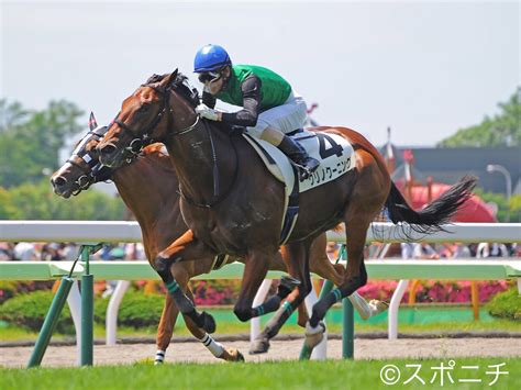 【函館5rメイクデビュー】オルフェーヴル産駒jra初勝利！クリノクーニングがデビュー戦快勝 競馬ニュースなら競馬のおはなし