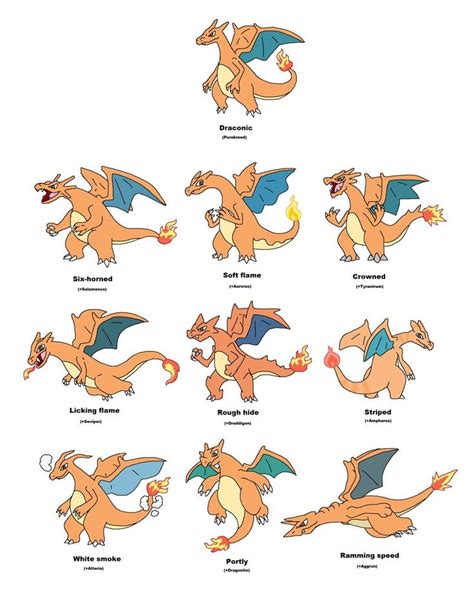 Charizard Variations By Jwnutz On Deviantart Charizard Pokemon