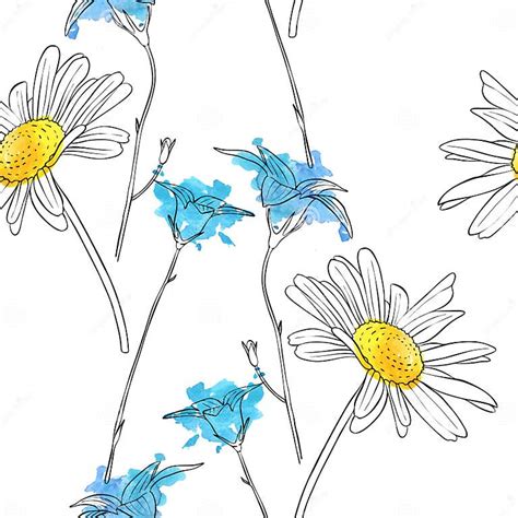 Vector Drawing Flower Of Daisy Stock Vector Illustration Of Doodle