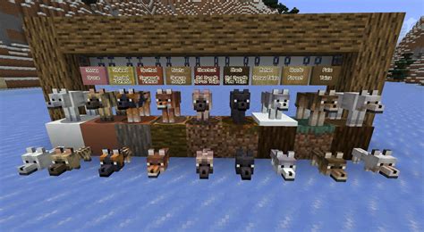 Todays Snapshot 24w10a Has Wolf Variants What Do You Think Of Them