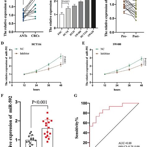 Upregulated Serum Mir 592 Expression Is Tumor Derived In Crc A