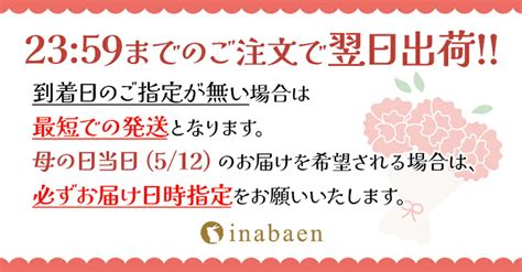 【楽天市場】【期間限定p5倍！】 ははの日 母の日 プレゼント ギフト 母の日ギフト 母の日プレゼント 2024 実用的 スイーツ 食べ物 お