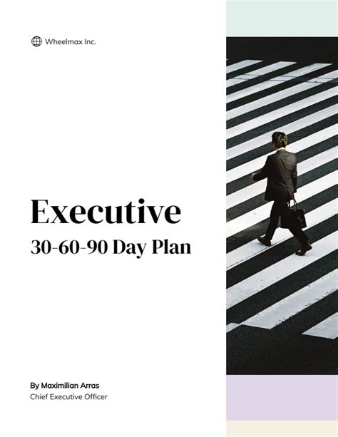 Ceo 30 60 90 Day Plan Template Visme