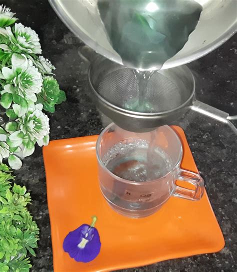 Butterfly Pea Tea Recipe | Blue Pea Tea | Healthy Blue Tea - FOOD FLAVOURSS