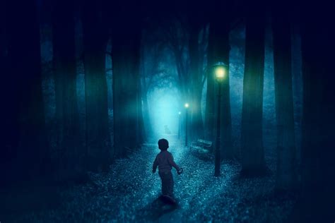 100,000+ Free Spooky Forest & Forest Images - Pixabay